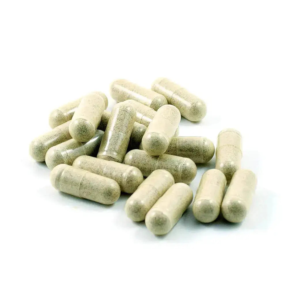 Bio Gotu Kola Kapseln, 120 Stk., 500mg