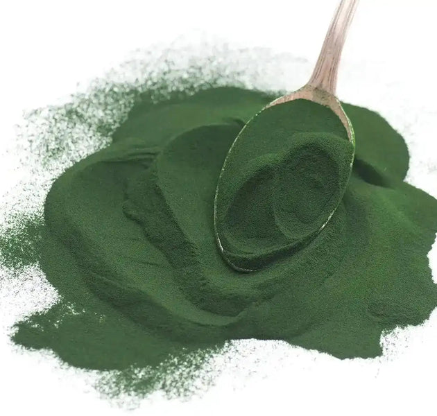 Bio Chlorella Pulver, 100g