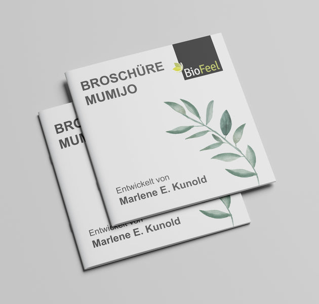 Broschüre Mumijo