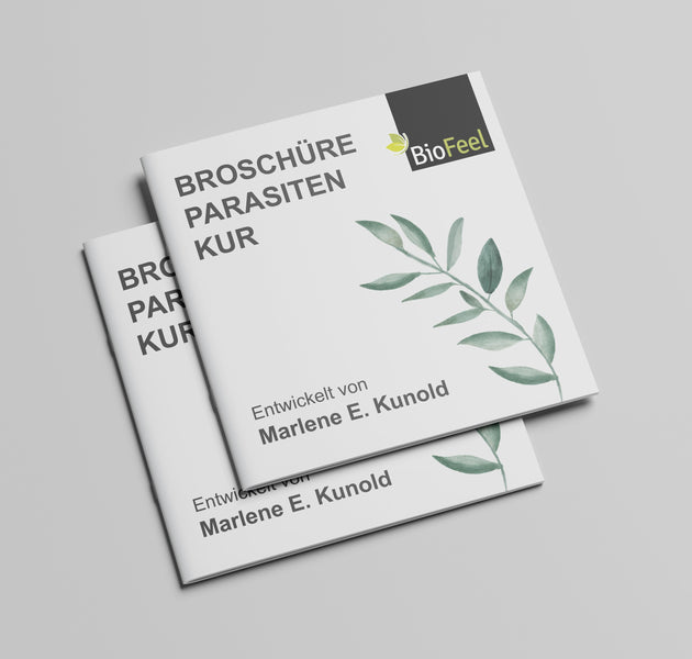 Broschüre Parasitenkur